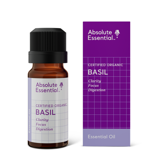 Absolute Essential Basil (org) 10mls