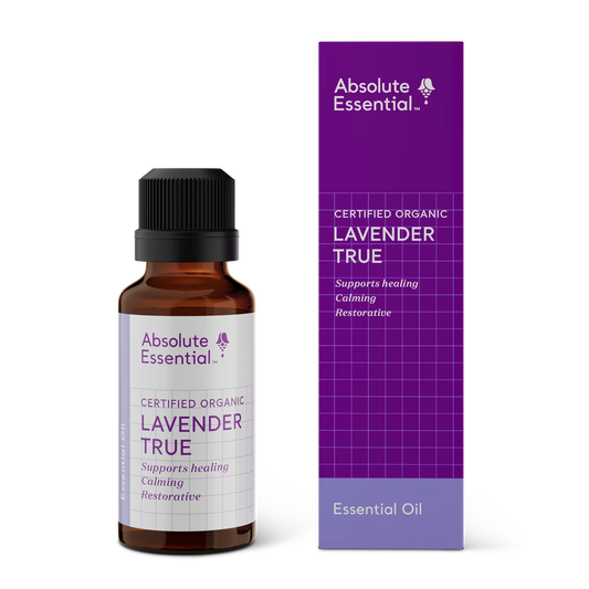 Absolute Essential Lavender True (org) 50ml