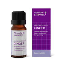 Absolute Essential ginger essential oil bottle and packaging on a white background