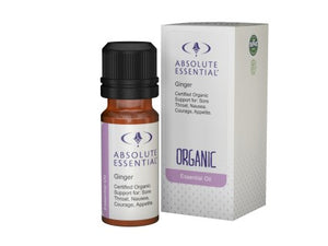 Absolute Essential Ginger (org) 10ml